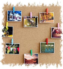 Houten Punaises Clips - Kleurrijke Duimspijkers - Decoratief Bevestigen - Natuurlijk Hout Materiaal - 50 Stuks - Kleurrijk — thumbnail 3