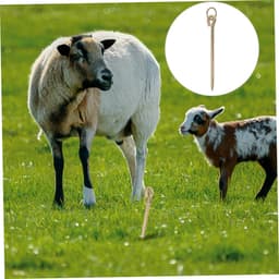 Grondanker Hond - Hondenpen Grondpen - Buiten Beveiligen - Verstelbaar & Stevig - 42 cm - Goud — thumbnail 5