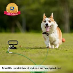 Grondanker Honden - Spiraal Grondpen - Veilig Vastzetten - 360 Graden Rotatie - 50 cm Lengte - Zilverkleurig — thumbnail 3