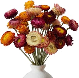 Bloemen, decoratie, 20 stuks, boeket, gedroogde bloemen, boeket, 32 cm, chrysanten, gevlochten, bloemen, natuurlijke planten voor huis, bruiloft, tafeldecoratie — thumbnail 1