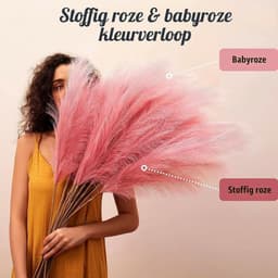 30 stuks Pampasgras, kleurverloop helder rood, droogbloemen boeket, 55 cm, gedroogd voor bloemen, thuisdecoratie — thumbnail 5
