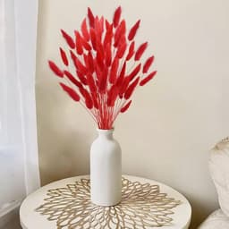 Gedroogd pampasgras, konijnenstaart, gras, 60 stuks, natuurlijke droogbloemen, boeket, decoratie, kunst, groot, droogbloemen, pampasgras voor interieur, fotografie, bruiloft, rood — thumbnail 4