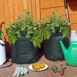 Set van 2 Kweekzakken voor het Gemakkelijk en Efficiënt Telene van Aardappelen — thumbnail 2