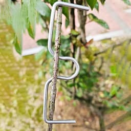 15 Stuks Boom Tak Buig Clips voor Vruchtbomen - Verstelbare Takken Spreider voor Tuinbouw — thumbnail 5