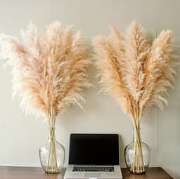 natuurlijke pampastelen, hoge decoratie, voor bruiloft, feest — thumbnail 3