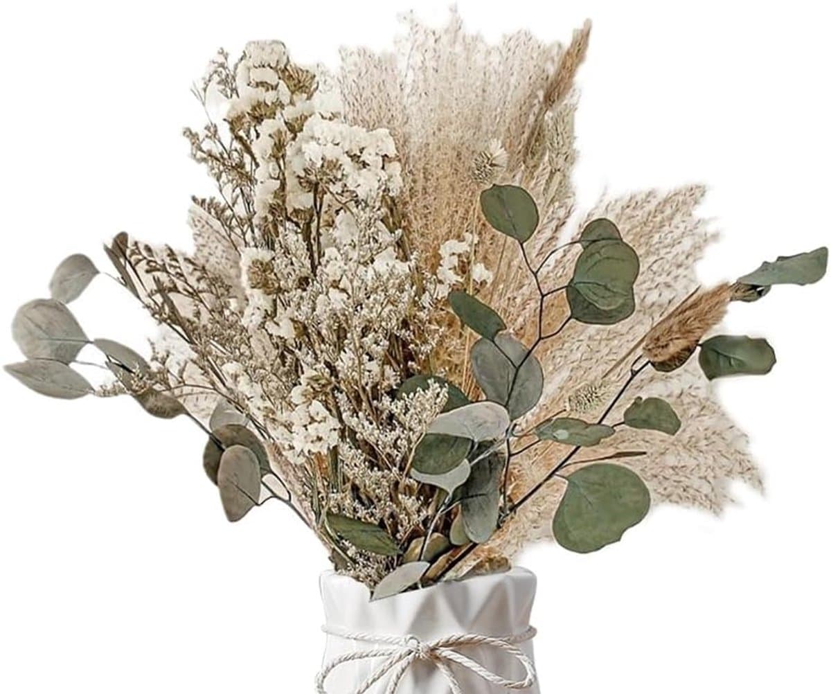 Gedroogde set, wollige gedroogde bloemen, boeket decoratie, gedroogd pampasgras, gedroogde bloemen, pampasgras, voor bruiloften, wooncultuur — afbeelding 1
