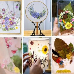 Gedroogde bloemen decoratie gedroogde bloemen kleurrijke gedroogde bloemen dried geperste bloemen voor hars sieraden maken doe-het-zelf kaarsen hanger telefoonhoesjes fotolijst — thumbnail 2
