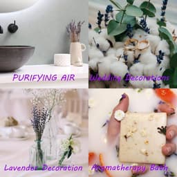 gedroogd bundel 100 stengels 42 cm lang lavendelbloemen uit de Provence lavendelbundel droogbloemen boeket — thumbnail 2