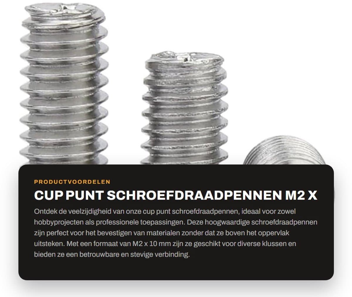 Dailygoods- Madenschroeven M2 x 10 mm - Roestvrij Staal - 100 Stuks - Bevestigingselementen - Kruiskopschroeven - Hoogwaardige Kwaliteit - Schroefdraadpennen — afbeelding 1