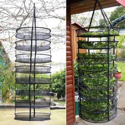 8 Lagen Mesh Hangend Droognet, Kruidendroger, Opvouwbaar Droognet met 60 cm Diameter voor Plant, Vis, Groenten, Bloemen, Droognet Kruiden (zwart) — thumbnail 2
