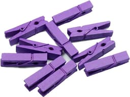 100 stuks kleine houten wasknijpers, mini-wasknijpers, hout, natuurlijke klemmen, decoratieve klemmen, fotoclips om te knutselen, doe-het-zelf, handwerk, kleuren, sierklemmen voor foto's, — thumbnail 1
