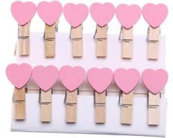 Mini Houten Knijpers - Foto Clips - Decoreren van foto's - Fijne afwerking - 100 stuks - Roze