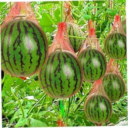 Groentezakken - Opbergnetten - Fruit Opslag - Met Trekkoord - 100 stuks - Rood — thumbnail 2