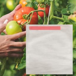 Fruitbeschermzakken, fruitzakjes - 100 tomatbeschermzakken met fruitafdekking | druivenbeschermzakken, fruitboomzakken, fruitboomtassen, ca. 20 x 22 cm, riferimento alla descrizione, Zie — thumbnail 2