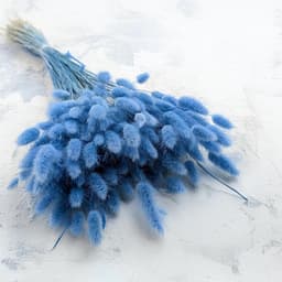 Dekogras gedroogd gras, siergras, konijnenstaarten, Lagurus Ovatus, fluwelen gras, hazenstaartgras, gedroogde bloemen, natuurlijk, boho, 120-150 stuks, 100 g, azuurro — thumbnail 1