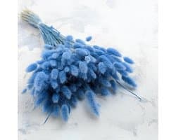 Dekogras gedroogd gras, siergras, konijnenstaarten, Lagurus Ovatus, fluwelen gras, hazenstaartgras, gedroogde bloemen, natuurlijk, boho, 120-150 stuks, 100 g, azuurro