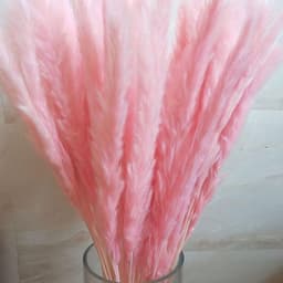 Gedroogde Bloemen, Pampas Gras DIY Handgemaakte Valentijnsdag Bruiloft Woondecoratie Boeket Pampas Grass (Color : Red) — thumbnail 3