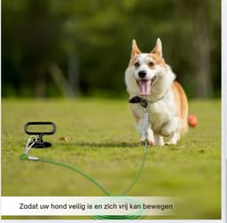 Grondanker voor honden riem - paal middelgrote tot grote honden - 100kg aanlegpblok spiraalmes strand gazon - zwart — thumbnail 4