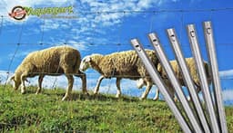 W profiel hekanker 50 cm - Stabiliteitsoplossing voor hekken en omheiningen — thumbnail 3