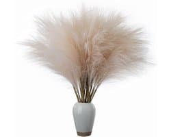 10 Stem Faux Pampas Gras, Pluizige Kunstmatige Nep Bloemen Voor Bruiloft, Thuis, Rustieke Partij, Baby Shower, Vaas Vuller Farmhouse Home Wedding Decor 22,4in (Color : Beige)