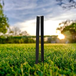 SnelShoppen - 4x Rozenboog Grondankers U-Pegs - Stabiliteit voor Tuin, Hoge Kwaliteit Poedercoated Metaal, Ideaal voor Rozenbogen en Tuinhekken — thumbnail 3