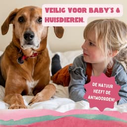 YOKUU Probiotische Wasstrips - 128 Wasbeurten - Zomerbloemen Geur - Reis Wasmiddel - Ultra Geconcentreerd en Voorgedoseerd - Ecologisch Wasproduct — thumbnail 2
