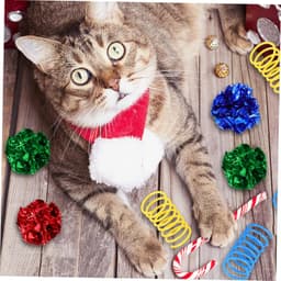 1Set Interactieve Kattenspeelgoedset Binnenkatten Kleurrijke Knisperballen Veerspeelgoed Speelplezier Zelfbezigheid Kittens — thumbnail 4