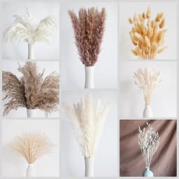 128 stuks gedroogd pampasgrasboeket, boho-tafeldecoratie, konijnenstaarten gedroogde bloemen, bruin pampas, wit pampasgras voor bruiloften, thuisdecoratie, rustieke feesten en babyshowerdecoraties — thumbnail 2