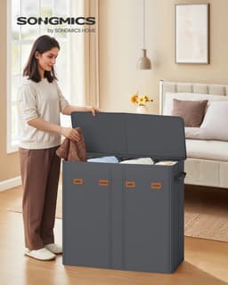 ELYSIVM Wasmand - Wasmand met 4 vakken - Wasmand met deksel - incl. 5 labels - Uitneembare wasbare binnenzak - 210 L - tot 20 kg - 84x33x75cm - Grijs — thumbnail 1