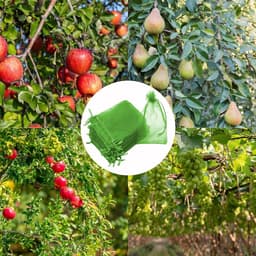 Fruitnettenzakken - Beschermzakken - Fruit beschermen - Met trekkoord - 100 stuks - Groen — thumbnail 4