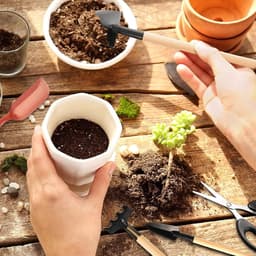 Waslijn Set - PE Materiaal - Verstelbaar en Winddicht - Eenvoudig te Installeren - Voor Binnen en Buiten — thumbnail 5
