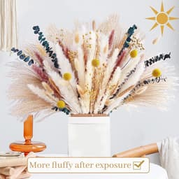 Gedroogde bloemen, woonkamerdecoratie, gedroogd pampasgras, decoratie — thumbnail 2