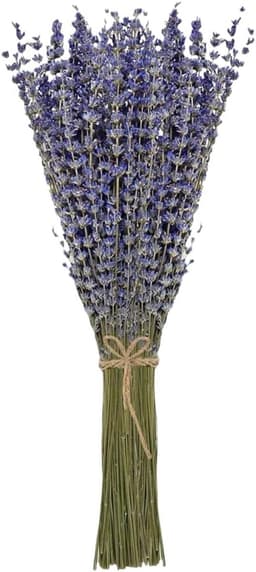gedroogd bundel 100 stengels 42 cm lang lavendelbloemen uit de Provence lavendelbundel droogbloemen boeket — thumbnail 1