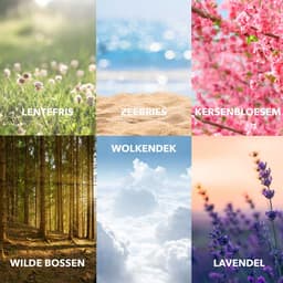 Cosmeau Geurbooster Wolkendek Clouds Navulling Refill - MADE in Holland - Geurparels - 50 Wasbeurten - Fris - 250g - Geurkralen Wasparfum Scent Booster — thumbnail 5
