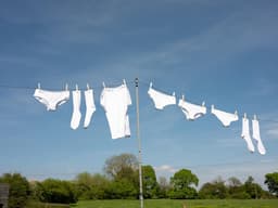 Waslijn Uittrekbaar - Drooglijn Binnen - Kleding Drogen - Tot 15 Meter - 30 cm Breed - Donkergroen — thumbnail 3