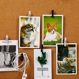 Push Pin Clips - Foto Clips Decoratief - Decoratief Bevestigen - Twee-in-één Ontwerp - 32 Stuks - Helder en Zwart — thumbnail 3