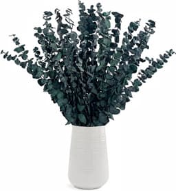 Gedroogde Eucalyptusstelen 43 cm (Blauw) — thumbnail 1