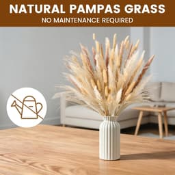 Gedroogd Pampasgras, 100 stuks Pampasdecoratie — thumbnail 2