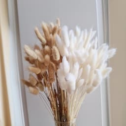 Gedroogde bloemen, natuurlijke en witte kleur, droogbloemenboeket, gedroogde bloemen, perfect voor bruiloften, huisdecoratie, thuis, feest, bruiloft, vaas — thumbnail 1