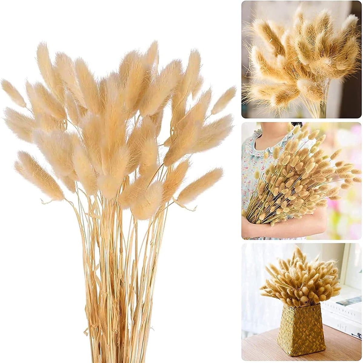 Gedroogd pampasgras, konijnenstaart, gras, 30 stuks, natuurlijke droogbloemen, bloemenboeket, decoratie, groot, droogbloemen, pampasgras voor interieurs, fotografie, bruiloft, wit — afbeelding 1