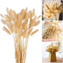 Gedroogd pampasgras, konijnenstaart, gras, 30 stuks, natuurlijke droogbloemen, bloemenboeket, decoratie, groot, droogbloemen, pampasgras voor interieurs, fotografie, bruiloft, wit — thumbnail 1