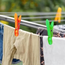 48 Stuks Kledingknijpers met Mand, 7.3 cm Kledingknijpers voor Waslijnen en Hangers, Duurzaam en Handig — thumbnail 5