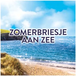 Lenor In-wash Geurbooster Zomerbries 19 wasbeurten - 240 gr — thumbnail 4