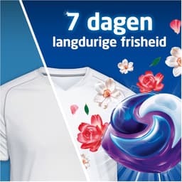 Dash Platinum Wasmiddel Pods® - Jasmijn en Rose de May - 3 x 38 Wasbeurten — thumbnail 5
