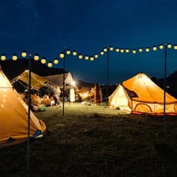 Solidchoice - Lichtkettingstangen voor Buiten - 2,4 m Metalen Stangen voor Tuin- en Terrasverlichting — thumbnail 3