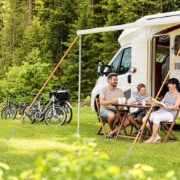 Grondanker - Metaal en Nylon - 40 cm Schroefpen met Verstelbare Spanband en Veer - Voor Caravan en Camper Luifels — thumbnail 2