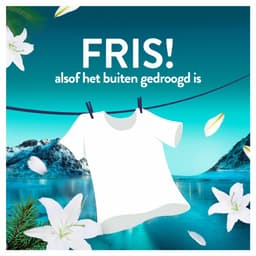 Lenor Wasverzachter Fresh Air Noorderlicht 36 Wasbeurten - 504 ml — thumbnail 5