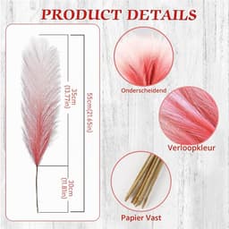 30 stuks Pampasgras, kleurverloop helder rood, droogbloemen boeket, 55 cm, gedroogd voor bloemen, thuisdecoratie — thumbnail 2