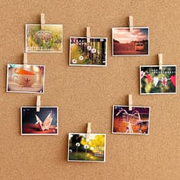 50 Stuks Houten Push Pin Clips voor Notities en Foto's - Ideaal voor Kurkbord en Muurdecoratie — thumbnail 3