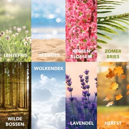 Cosmeau Geurbooster Proefpakket Navulling Lentefris Lavendel Zeebries Kersenbloesem Wilde Bossen Wolkendek Zomerbries Herfst Pure 9x50 wasbeurten - Geurkralen Wasparfum Scent Booster — thumbnail 3
